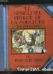 Le Grand livre pratique de la sorcière en 11 leçons