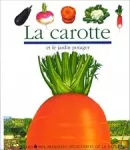 La carotte et le jardin potager