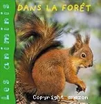 Dans la forêt