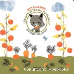 Qui a mangé les carottes du potager ?