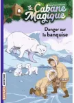 Danger sur la banquise