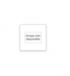 Un chasseur de lions