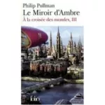 Le miroir d'ambre