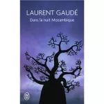 Dans la nuit du Mozambique