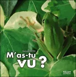 M'as-tu vu ?
