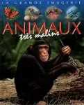 Animaux très malins