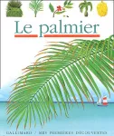 Le palmier
