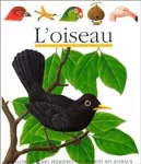 L'oiseau