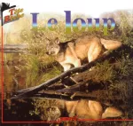 Le loup ; l'âne et le loup