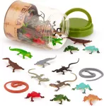 Boîte de petits reptiles & araignées