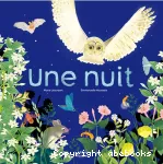 Une nuit