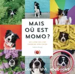Mais où est Momo ?
