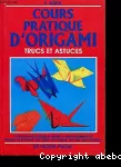 Cours pratique d'origami