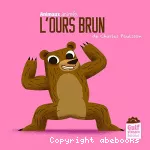 L'ours brun
