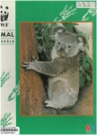 Puzzle 100 WWF Animal - Koala