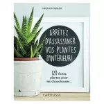 Arrêtez d'assassiner vos plantes d'intérieur