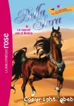 Le nouvel ami d'Ambre